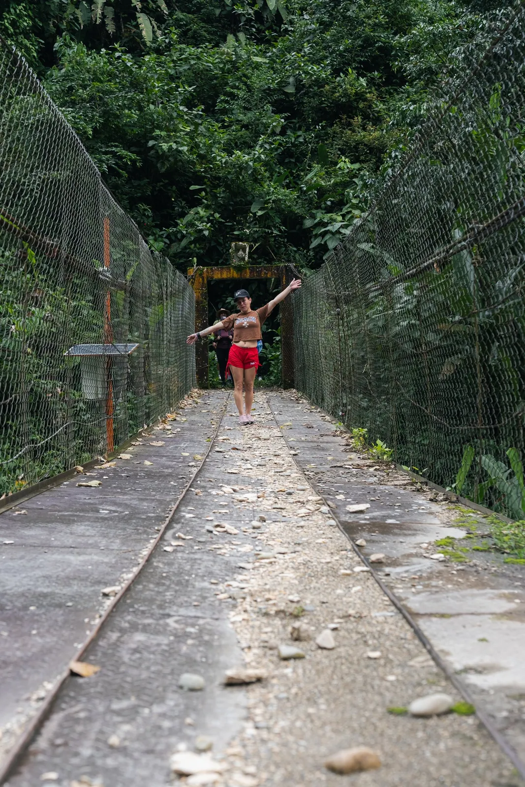La vía se pierde entre la selva