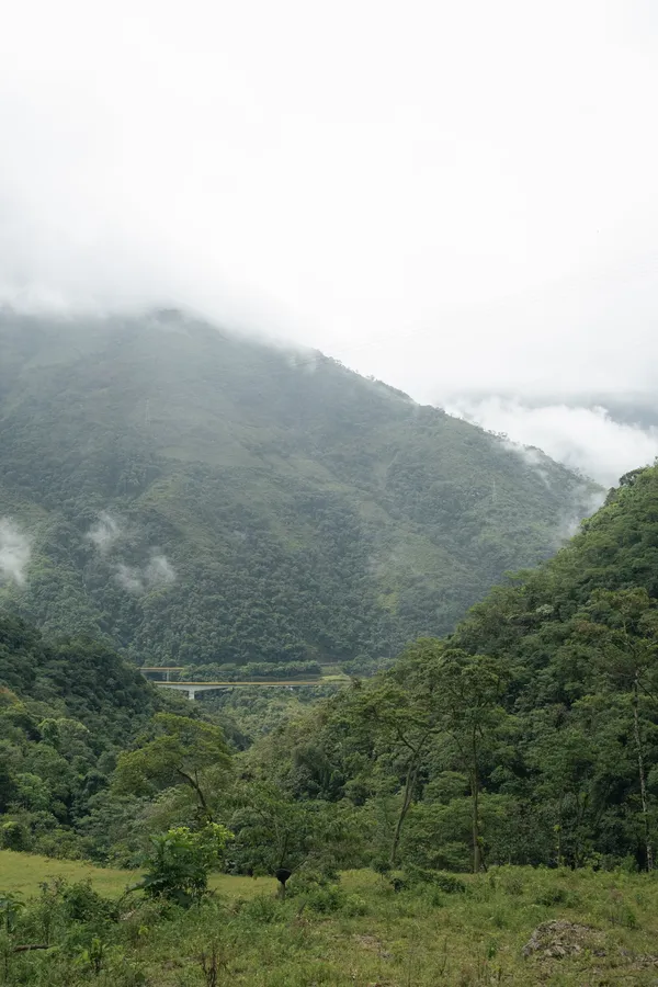 Niebla bajando por la montaña