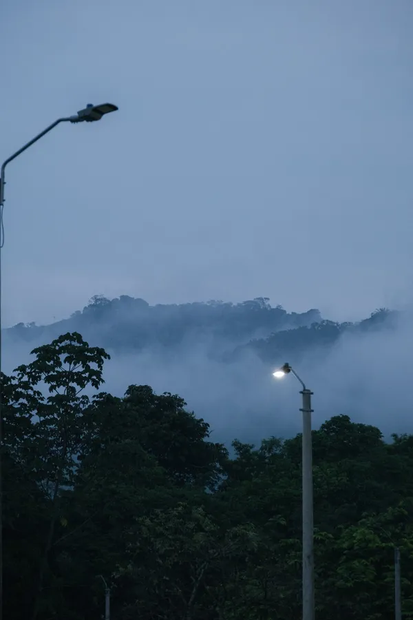 Anochece sobre el bosque