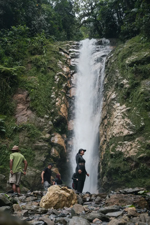 Naturaleza, exteriores y plantas