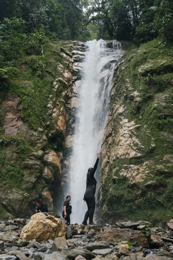 Naturaleza, exteriores y plantas