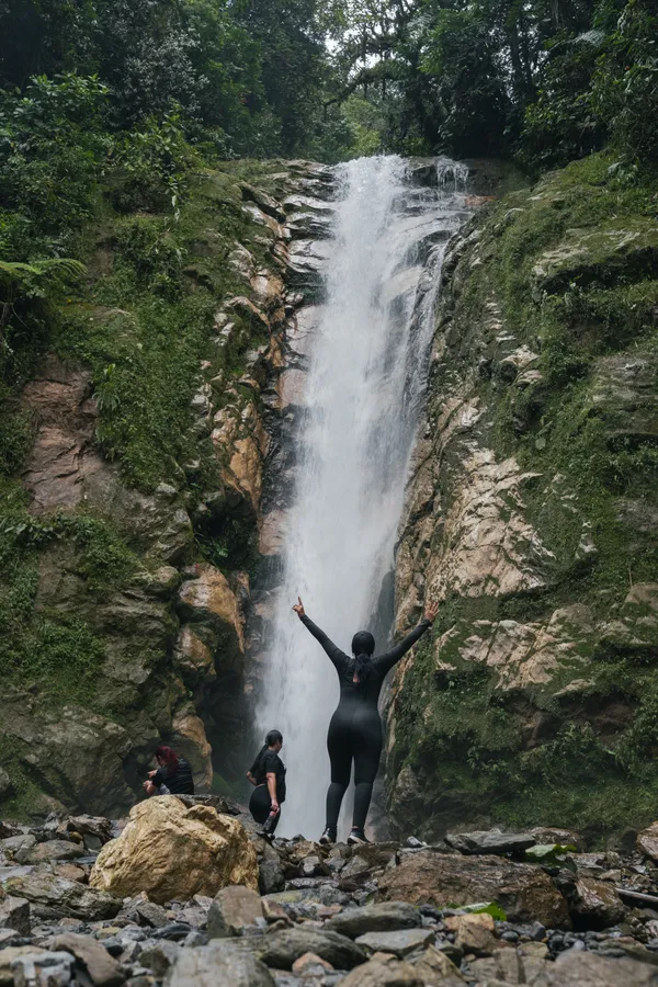 Naturaleza, exteriores y plantas