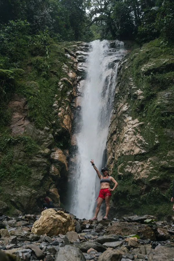 Naturaleza, exteriores y plantas
