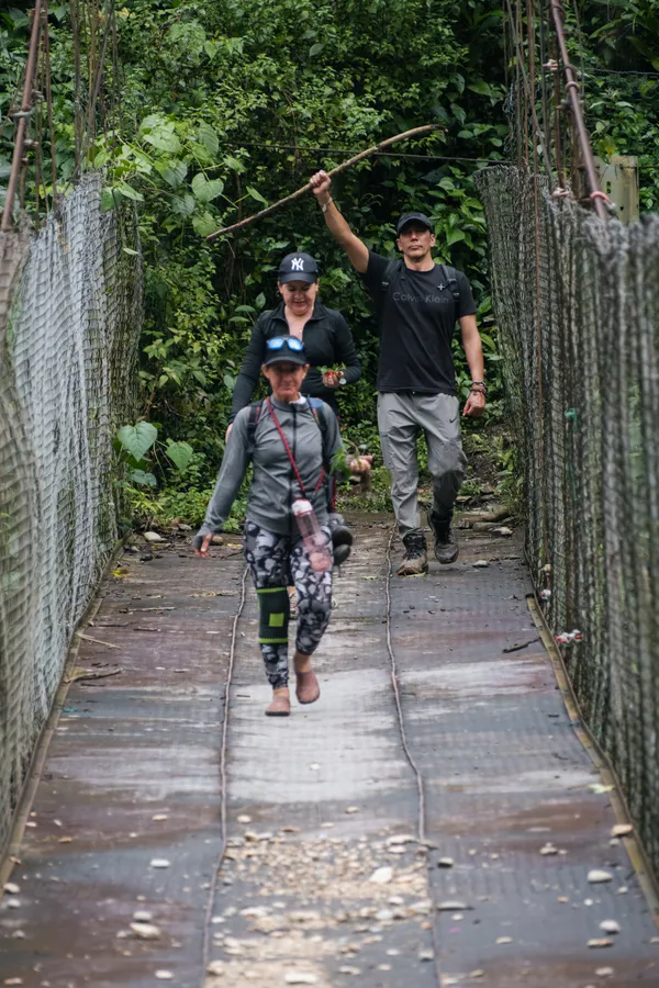 Personas, camino y plantas