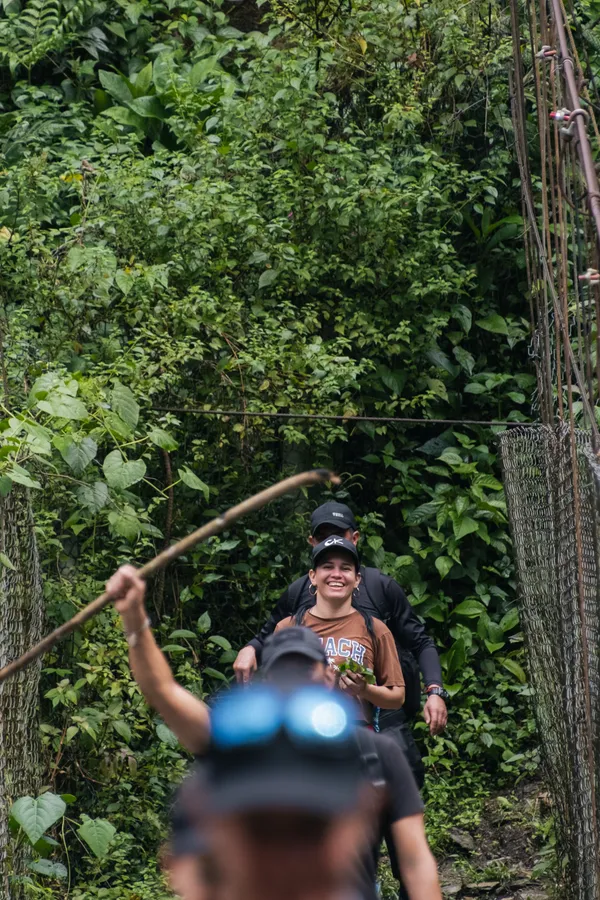 Naturaleza, exteriores y plantas