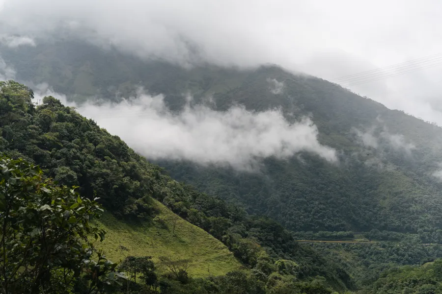 Plantas, naturaleza y exteriores