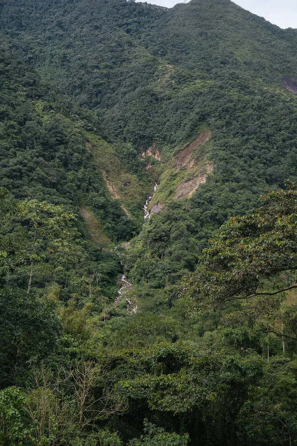 Plantas, naturaleza y exteriores