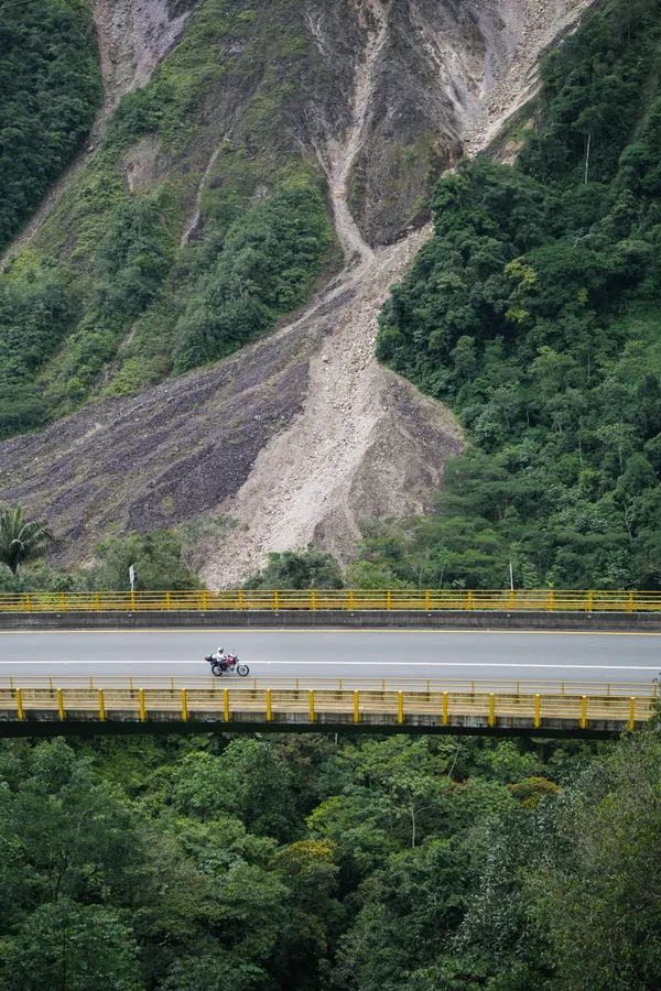 Plantas, carretera y naturaleza