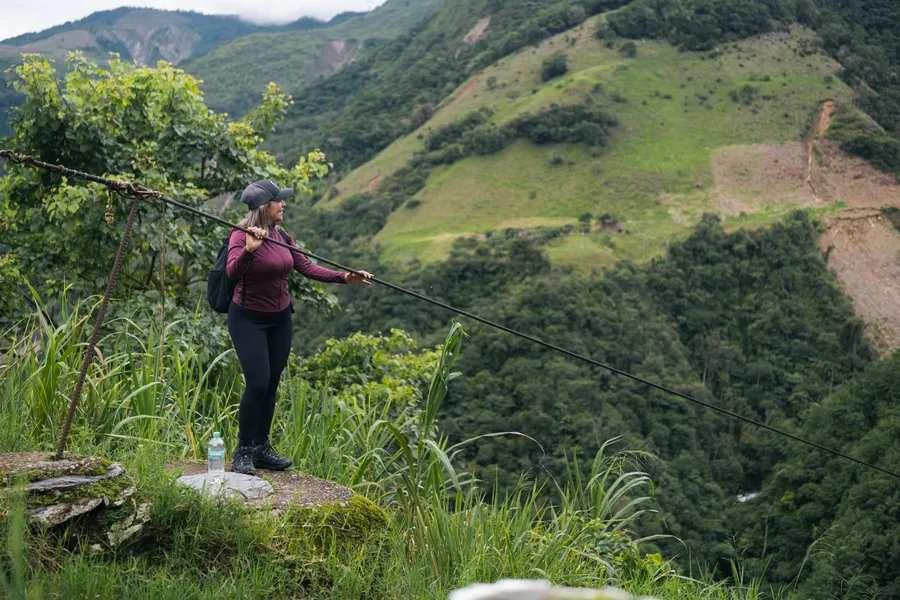 Plantas, naturaleza y exteriores