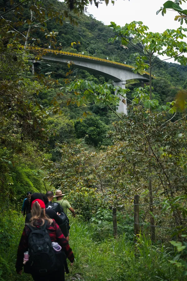 Naturaleza, exteriores y plantas