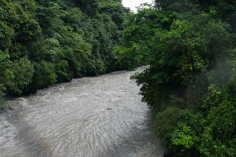 Naturaleza, exteriores y plantas