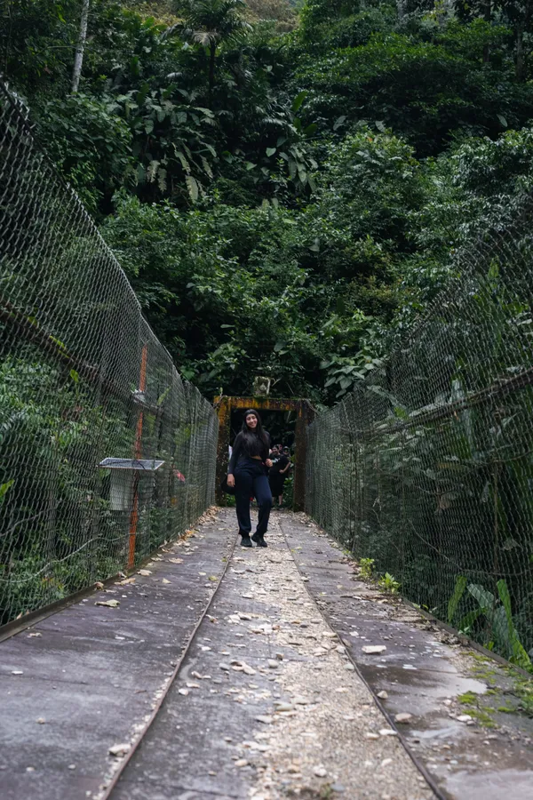 Naturaleza, exteriores y plantas