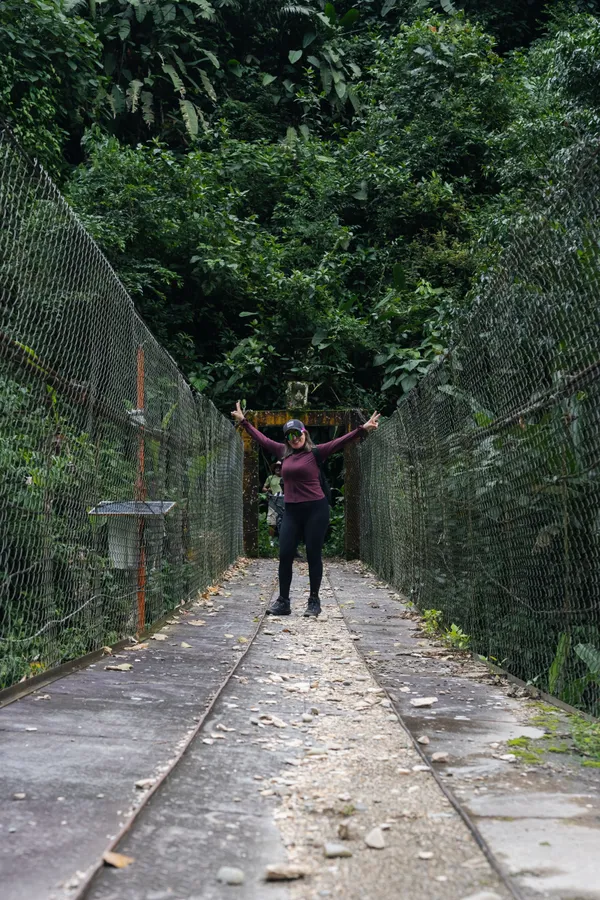 Naturaleza, exteriores y plantas