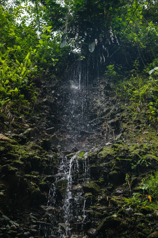 Naturaleza, exteriores y plantas