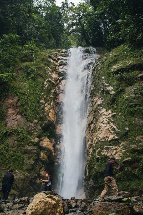 Naturaleza, exteriores y plantas