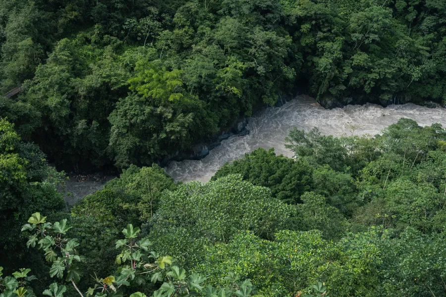 Naturaleza, exteriores y plantas
