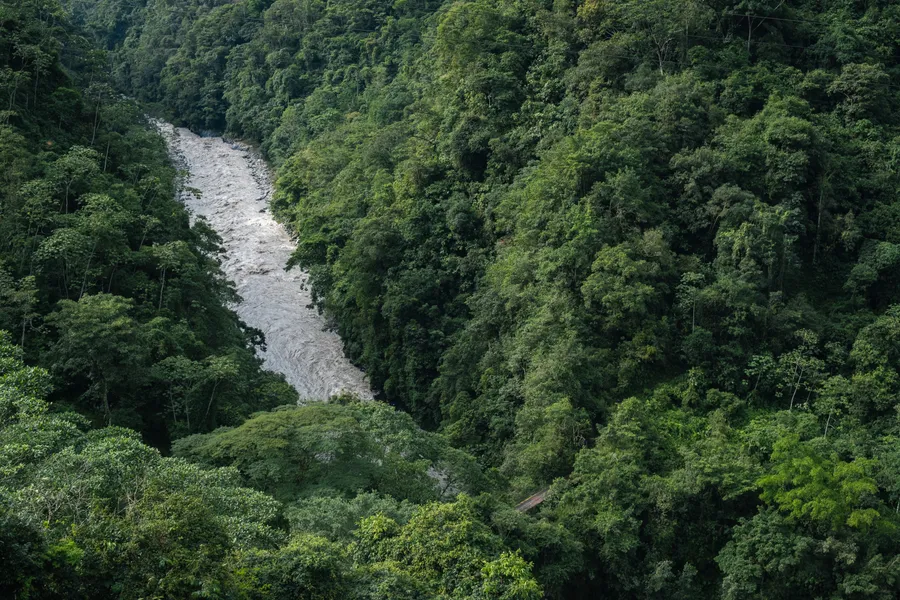 Naturaleza, exteriores y plantas