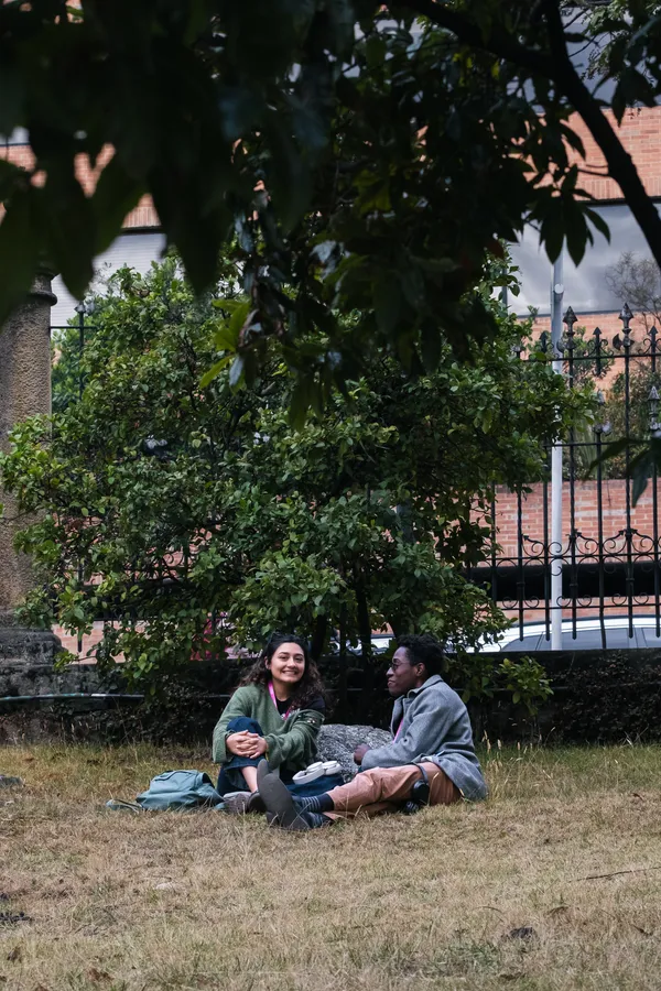 Plantas, adulto y personas