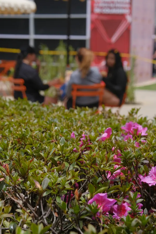 Plantas, jardín y naturaleza