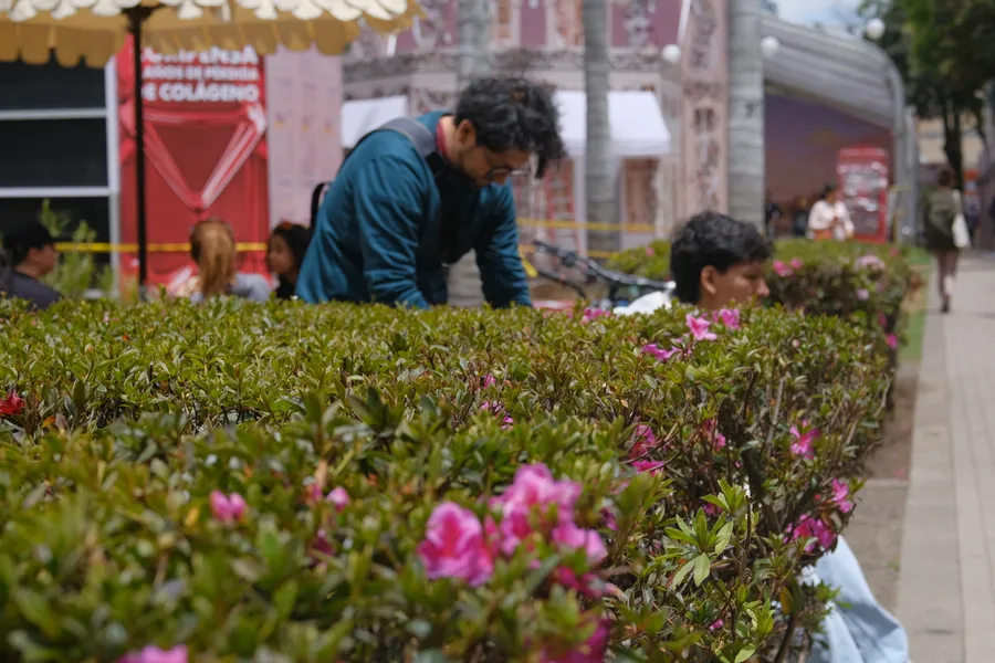 Jardín, naturaleza y exteriores