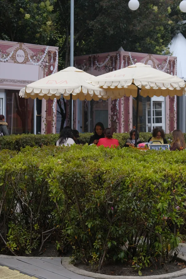 Plantas, personas y césped