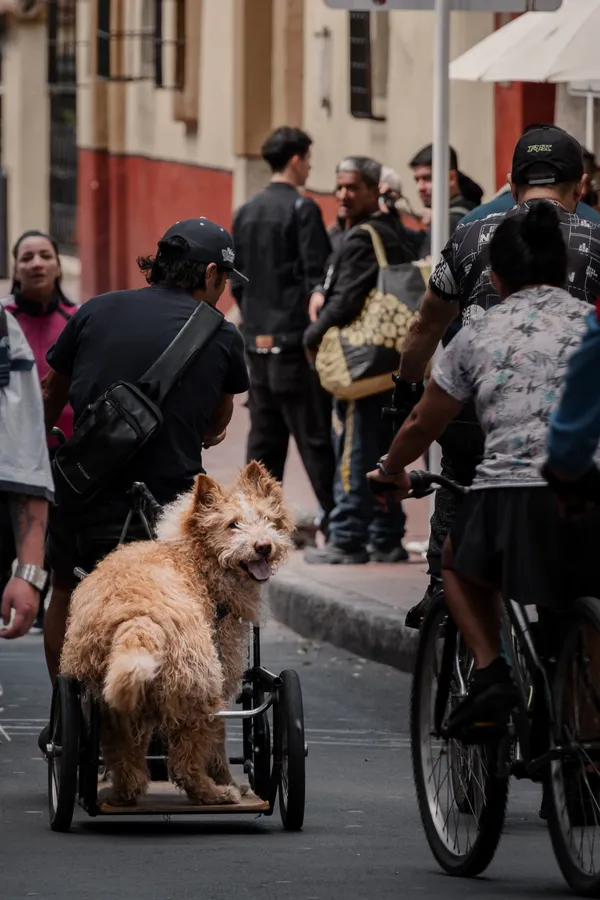 Ciudad, carretera y calle