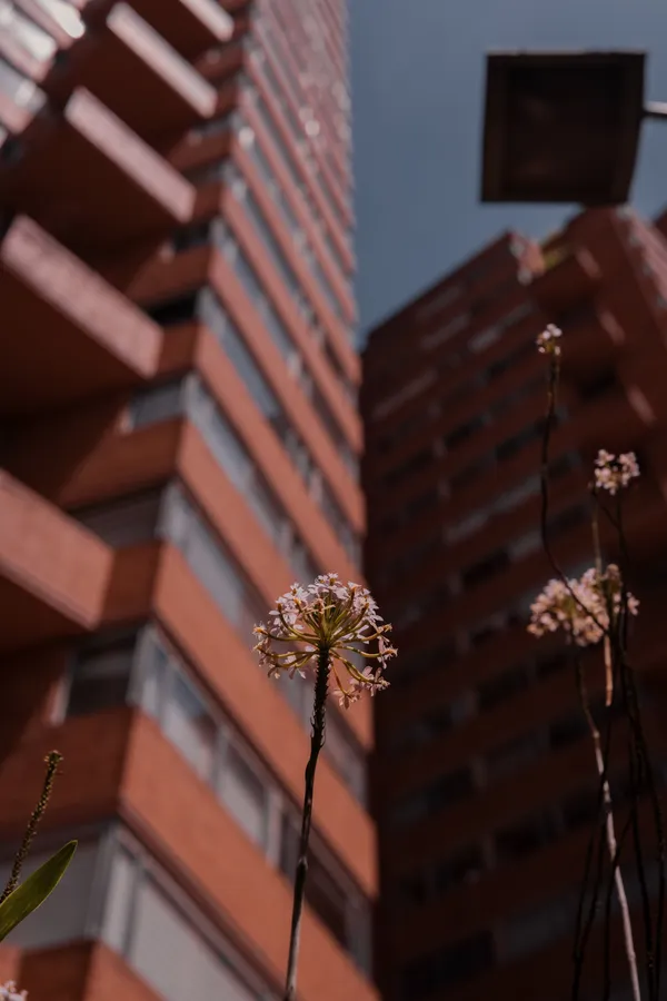 Arquitectura, edificio y ciudad