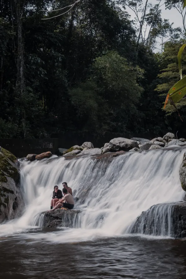 Naturaleza, exteriores y plantas