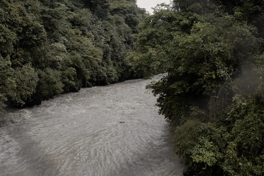 Naturaleza, exteriores y plantas