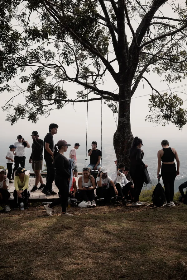 Personas, caminata y césped