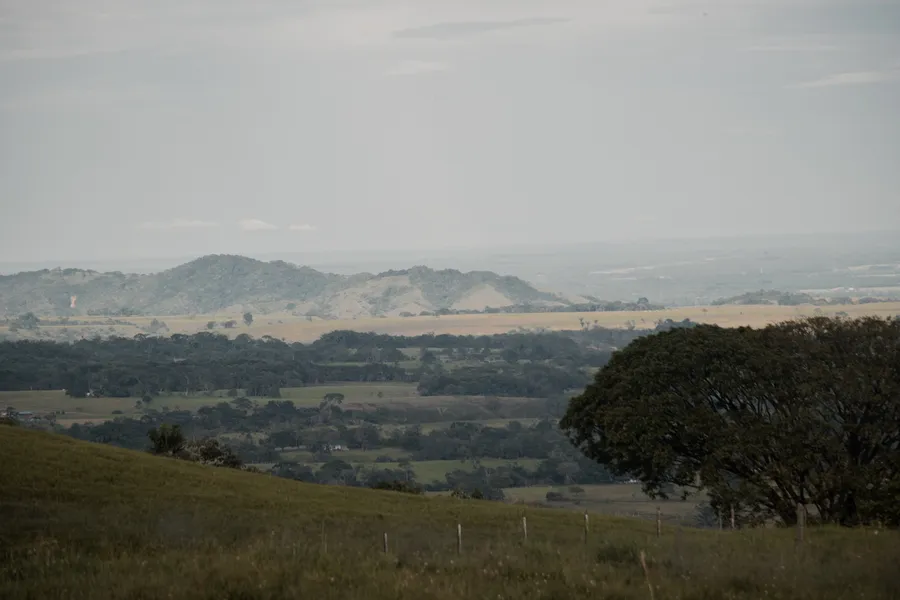 Exteriores, naturaleza y campo