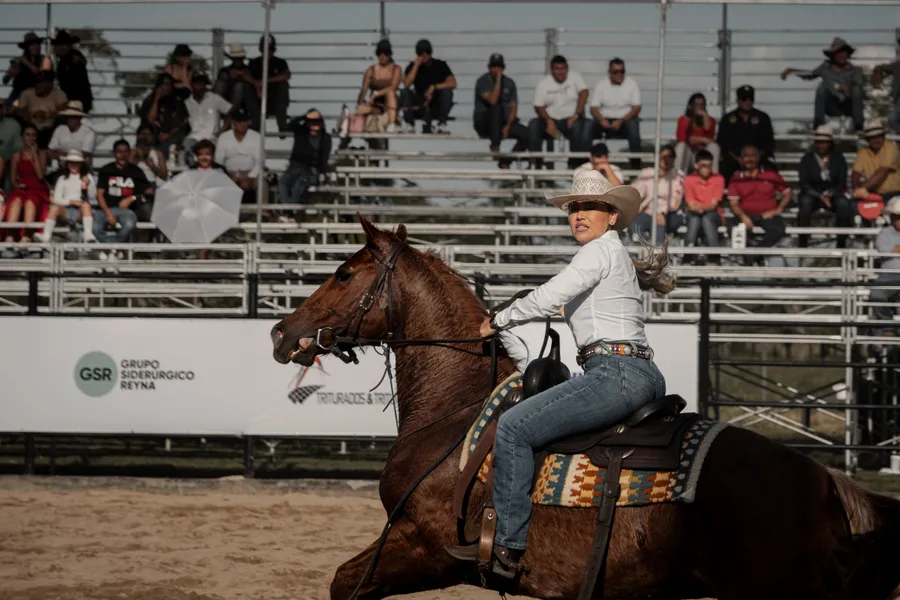 Personas, animales y caballo