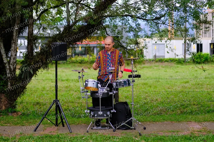 Música, instrumento musical y músico