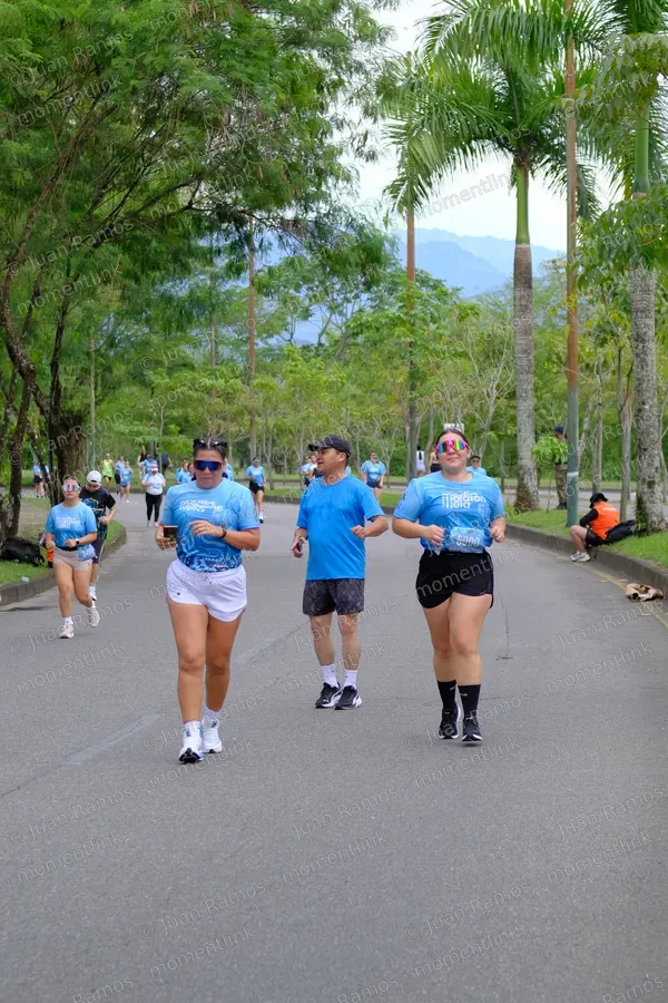 Personas, caminata y plantas