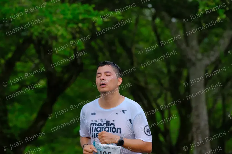 Ropa, camiseta y plantas
