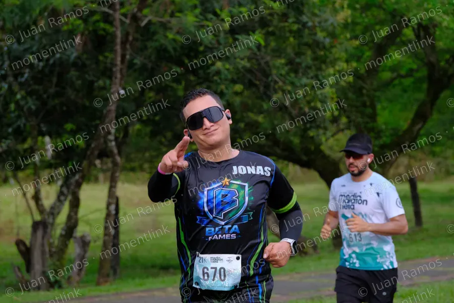 Ropa, camiseta y plantas