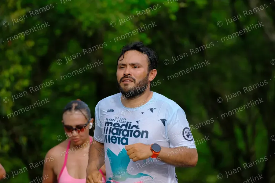 Ropa, camiseta y plantas