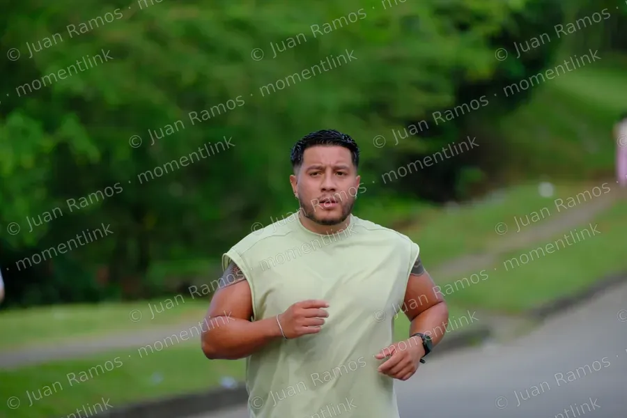 Ropa, camiseta y hombre