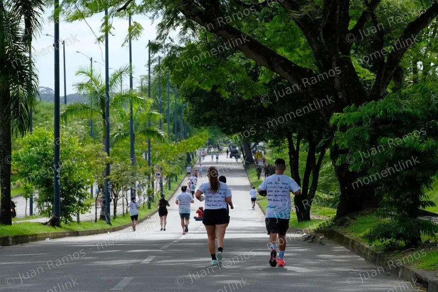 Personas, caminata y carrera